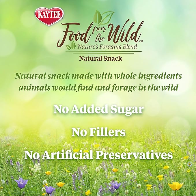 Kaytee Food from The Wild Natural Snack for Pet Hamsters, Gerbils, Rats and Mice, 2 Ounces (Pack of 2)