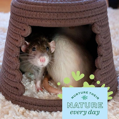 Oxbow Timothy Hay Mat – Edible Habitat Accessory for Rabbits, Guinea Pigs, Chinchillas & Rats – Hand-Woven Natural Mat and Chew, Cage Enrichment for Dental Health, Comfort & Instinctual Play, Medium