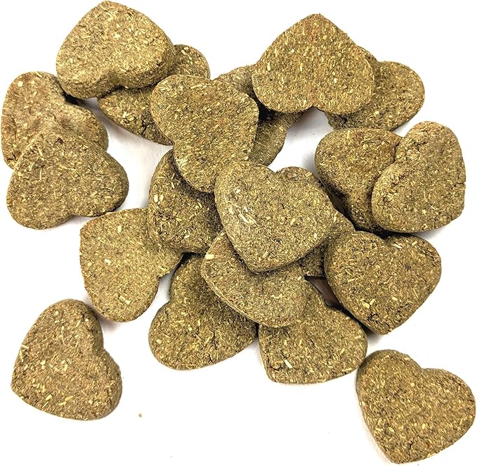 Oxbow Organic Rewards Barley and Hay Biscuit Treats for Rabbits, Guinea Pigs, Chinchillas, and Small Pets Green 2.64 Ounce (Pack of 2)