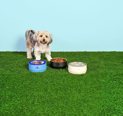 STANLEY Pet Bowl | 3-Cup (24 oz) Insulated Stainless Steel Dog & Cat Bowl | Splash-Resistant Lid | Dishwasher Safe | BPA-Free | Cream