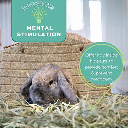 Oxbow Timothy Hay, Rabbit & Guinea Pig Hay, High Fiber for Digestive Health, Grown in The USA, Veterinarian Recommended Small Pet Supplies, Bulk Food for Rabbits, Guinea Pigs, & Chinchillas, 20 lbs