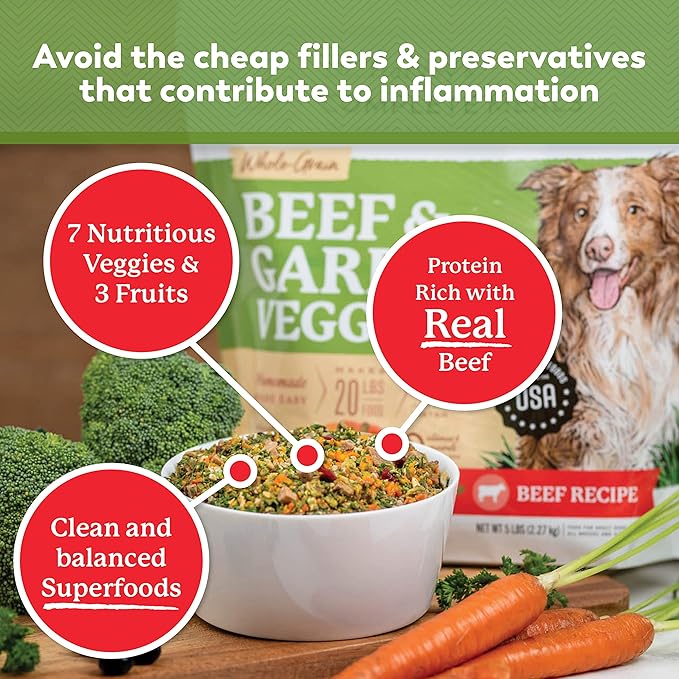 Dr. Harvey's Beef & Garden Veggies Dog Food, Whole-Grain Dehydrated Dog Food with Freeze-Dried Beef (5.5 Ounces, Trial Size)