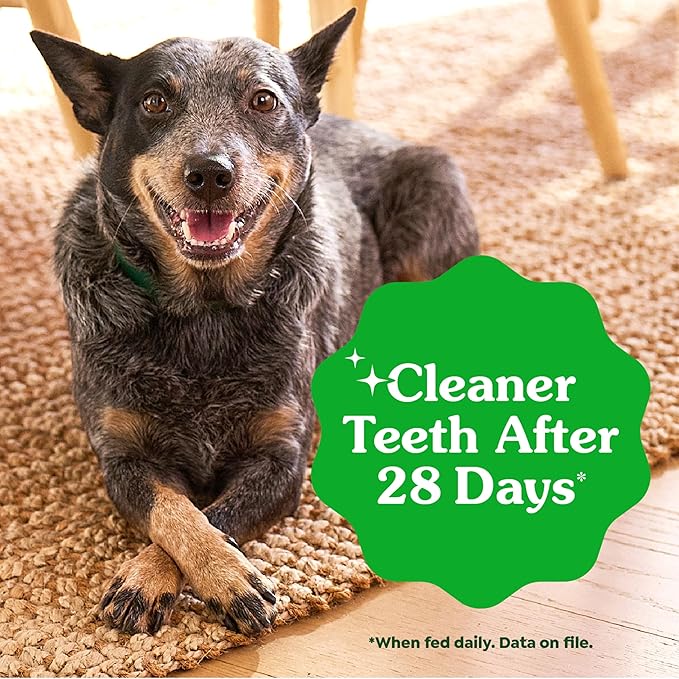 Greenies Veterinarian-Recommended Adult Natural Dental Dog Treats Large Size, Weight Management Dog Dental Chews, 27 oz. Pack, 17 Count