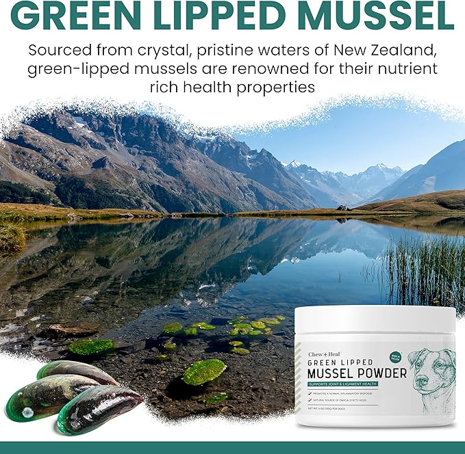Green Lipped Mussel for Dogs - 2.12 oz of Green Lipped Mussel Powder for Dogs - Good for Joint and Ligament Health - Made in The USA