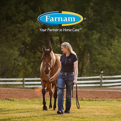 Farnam Roll-On Fly Repellent for Horses, Ponies and Dogs 2 Ounces