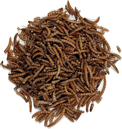 Wagner's 58005 Mealworms Wild Bird Food, 18-Ounce Bag (Pack of 2)