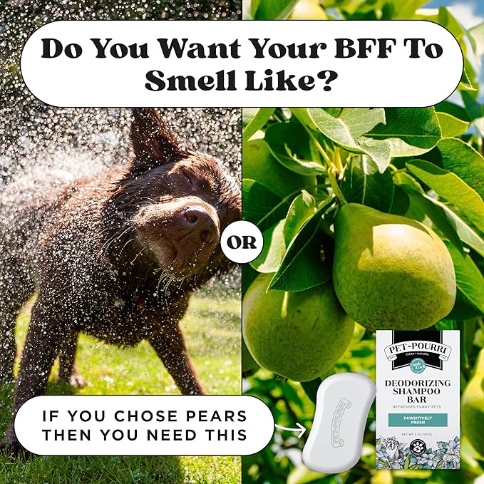 Poo-Pourri Deodorizing Shampoo Bar for Dogs & Cats– Moisturizing Skin & Coat Formula – Plant Based Ingredients – Vet Recommended – Paraben & Sulfate-Free No Harsh Chemicals – Bar Shampoo for Pet Odor