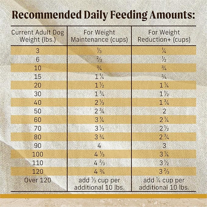Merrick Healthy Grains Premium Adult Dry Dog Food, Wholesome and Natural Kibble, Healthy Weight Recipe - 25.0 lb. Bag