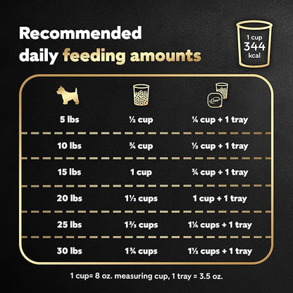 Cesar Small Breed Dry Dog Food for Small Dogs, Rotisserie Chicken Flavor and Spring Vegetables Garnish, 5 lb Bag