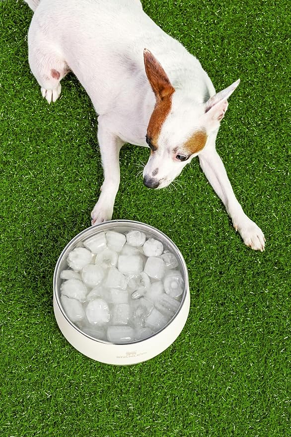 STANLEY Pet Bowl | 3-Cup (24 oz) Insulated Stainless Steel Dog & Cat Bowl | Splash-Resistant Lid | Dishwasher Safe | BPA-Free | Cream