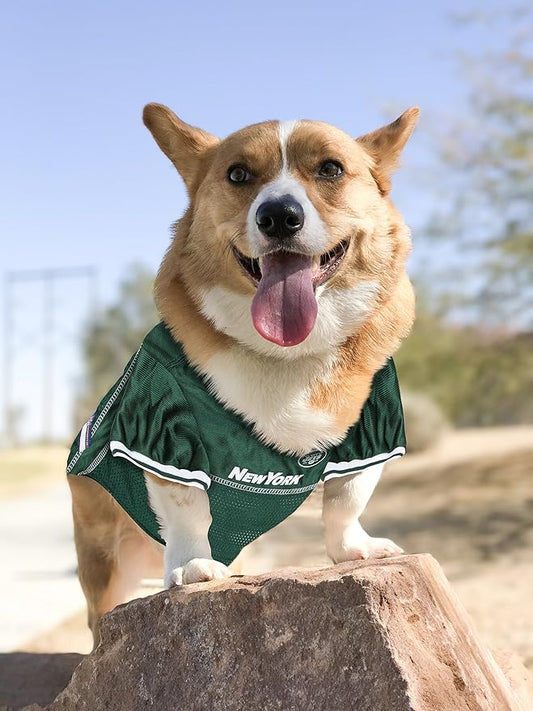 NFL NEW YORK JETS DOG Jersey, Large