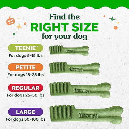 Greenies Veterinarian-Recommended, Limited-Edition Natural Dental Dog Treats Regular Size, Pumpkin Spice Flavor, 12 oz. Pack, 12 Count