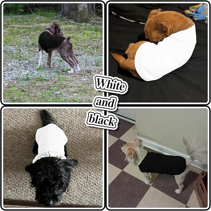 2 Pack Solid Color Dog Shirts - Lightweight, Quick Dry, Breathable Pet T-Shirts for Small to Large Dogs - Stretchy, Durable, Ideal for All Seasons and Holidays.Black White XS