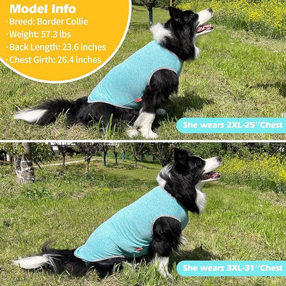 KYEESE 2 Pack Dog Shirts Quick Dry Soft Stretchy Sun Protection Pet T-Shirts with Reflective Label Tank Top Sleeveless Vest Dog Clothes for Medium Large Dogs, XX-Large, Grey+Blue