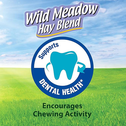 Kaytee All Natural Timothy Hay Wild Meadow Hay Blend for Guinea Pigs, Rabbits & Other Small Animals, 24 Ounce (Pack of 2)