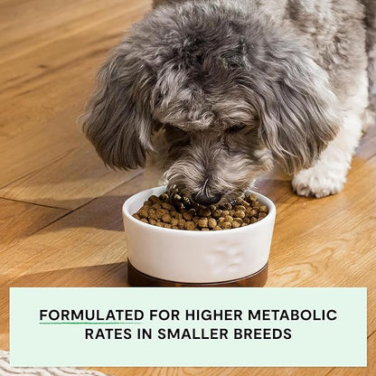 Open Farm, Grain-Free Dry Dog Food for Small Breeds, High-Protein Kibble, Sustainably & Ethically Sourced Ingredients, Non-GMO Veggies & Superfoods, Chicken & Turkey Recipe for Small Dogs, 4lb Bag