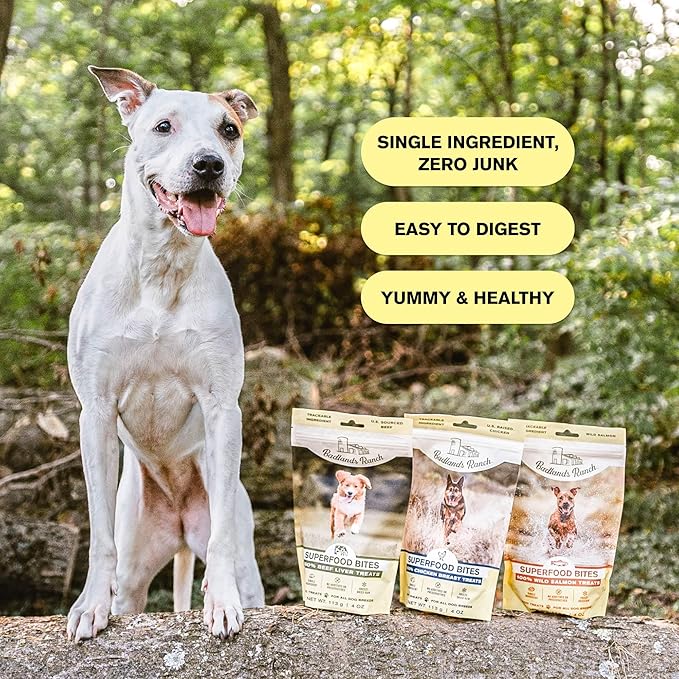 Dog standing next to packages of dog food with text highlighting benefits