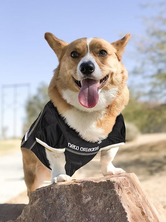 NFL NEW ORLEANS SAINTS DOG Jersey, XX-Large