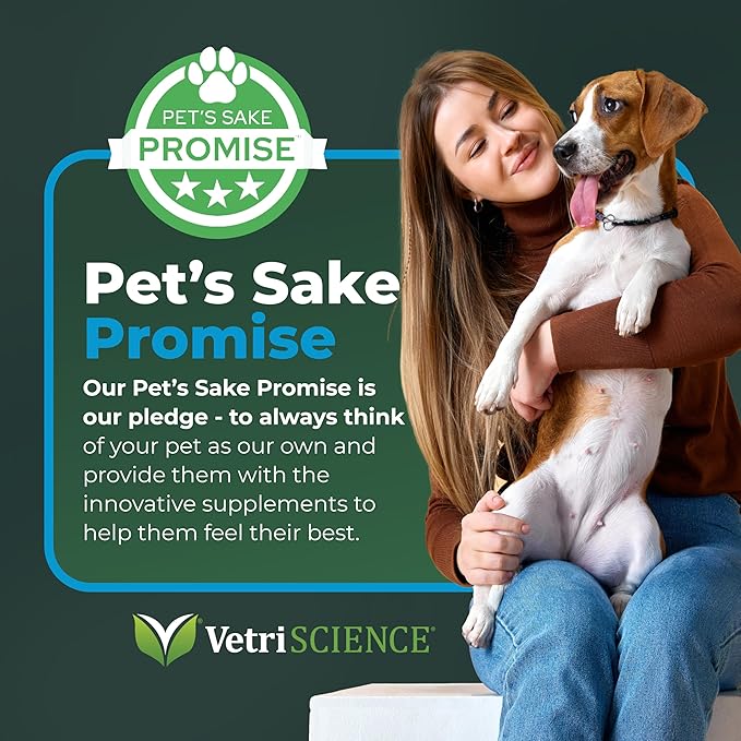VETRISCIENCE Veterinary Strength Healthy Heart Chews - Heart & Energy Supplement for Pets - Cardiovascular Supplement - Pet Blood Flow Support - Chicken Flavor - 60 Count