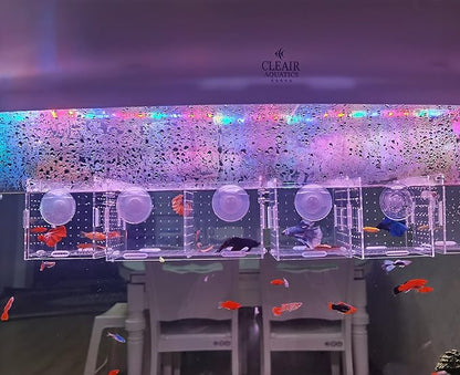 AWXZOM Acrylic Fish breeding Box, Acrylic Fish Isolation Box, Fish Separator for Aquarium, Hatchery Incubator with Suction Cups for Small Baby Fishes Shrimp Clownfish Guppy (3.9 * 3.9 * 3.9inch)