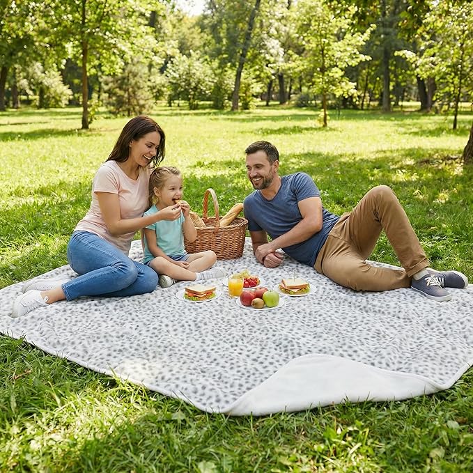 Waterproof Blanket for Bed, Couch, or Car - 60” x 80” Reversible Queen Size Throw Blanket for Reliable Leakproof Furniture Protection - Washable Pet Throws by Lavish Home (Snow Leopard Print)