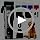 Professional Dog Clippers for Grooming Thick Coats Dog Grooming Kit