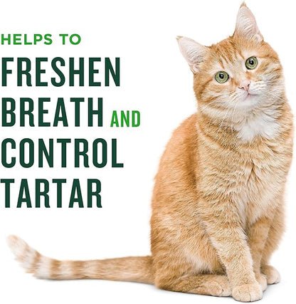 Minties Dental Treats for Cats, Salmon Flavored Treats for Cats, Freshens Breath and Controls Tartar, 2.5oz (Pack of 2)