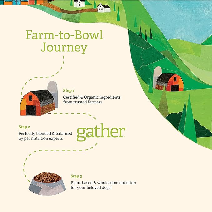 GATHER Endless Valley Vegan Dry Dog Food with Grains, Healthy Plant-Based Kibble Made with Organic & Non-GMO Ingredients, Chicken-Free for Sensitive Stomachs, for Adults & Seniors, 16 lb Bag