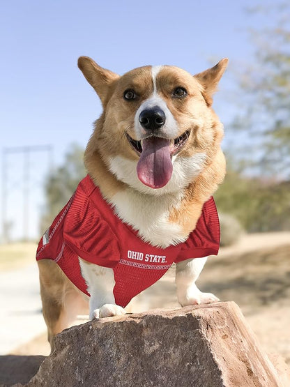 Pets First NCAA College Ohio State Buckeyes Mesh Jersey for DOGS & CATS, XXX-Large. Licensed Dog Jersey with your Favorite Football/Basketball College Team