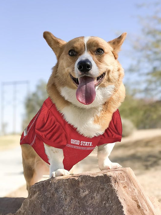 Pets First NCAA College Ohio State Buckeyes Mesh Jersey for DOGS & CATS, XXX-Large. Licensed Dog Jersey with your Favorite Football/Basketball College Team