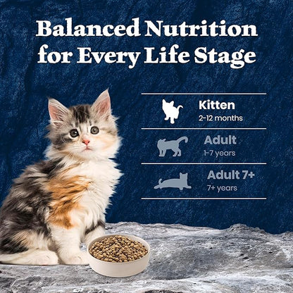 Blue Buffalo Wilderness High-Protein & Grain-Free Dry Food for Kittens, Natural Ingredients with DHA for Cognitive Development, Salmon Recipe, 5lb Bag