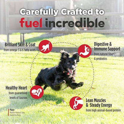 Nulo FreeStyle Small Breed Dog Food Dry - Salmon & Lentils, Puppy & Adult Grain Free Dog Food, Natural, High Protein, Smaller Sized Kibble with BC30 Probiotic for Healthy Digestion Support, 14lb Bag