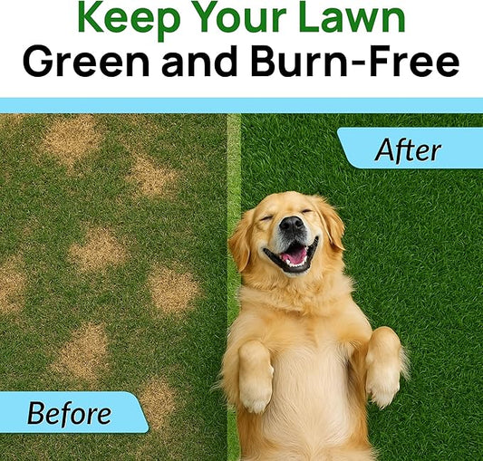 PAWFECTCHEW Green Grass Dog Chews w/Probiotics - Prevent Urine Burning Grass - Dog Pee Grass Spot Saver - Dog Urine Neutralizer for Lawn Treats, UT & Gut Health for Dogs, Lawn Burn from Dog Urine
