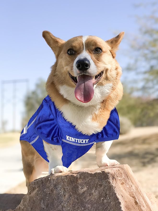 Pets First NCAA College Kentucky Wildcats Mesh Jersey for DOGS & CATS, Large. Licensed Dog Jersey with your Favorite Football/Basketball College Team