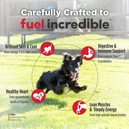 Nulo FreeStyle Small Breed Dog Food Dry - Beef & Sweet Potato, Puppy & Adult Grain Free Dog Food, Natural, High Protein, Smaller Sized Kibble with BC30 Probiotic for Healthy Digestion Support, 6lb Bag