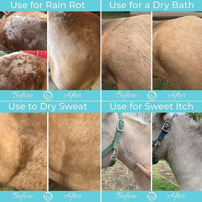 Coat Defense Daily Preventative Powder & Rain Rot Treatment for Horses | Safe & Effective Equine Sweet Itch, Skin Funk, Scratches | Dry Horse Shampoo, 8 oz. | All Natural Ingredients