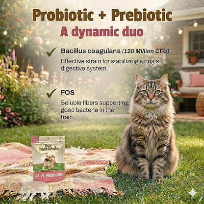 Pet Naturals Daily Probiotic Soft Chews for Cats, Digestive and Immune Support Supplement, 100 Million CFU Per Chew, Duck, 30 Count