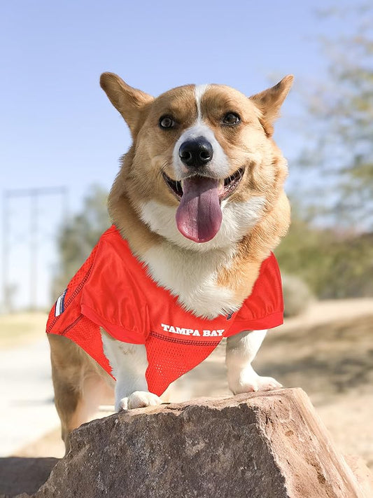 NFL Tampa Bay Buccaneers Dog Jersey, Size: XX-Large. Best Football Jersey Costume for Dogs & Cats. Licensed Jersey Shirt