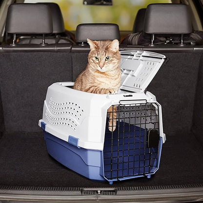 Basics Sturdy Portable 2-Door Top-Load Hard-Sided Pet Travel Carrier with Secure Ventilation, Handle, Front & Top Entry for Dogs, Cats, 22.8"L x 15"W x 13"H, Gray & Blue