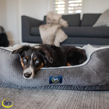 Serta Orthopedic Cuddler Dog Bed for Pets – Slate Gray (X-Large)