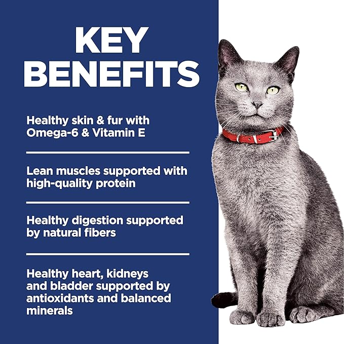 Hill's Science Diet Adult 7+ No Corn, Wheat or Soy Dry Cat Food, Chicken, 7 lb. Bag