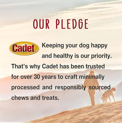 Cadet Double Stuffed Shin Bone - Highly Digestible, High Protein, Long-Lasting Dog Chew Bone for Aggressive Chewers, Supports Dental Health, Bacon & Cheese Flavor, Large (1 Count) (Pack of 2)