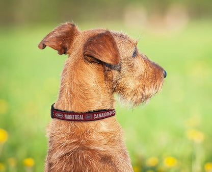 Pets First NHL Collar for Dogs & Cats. Adjustable, Cute, & Stylish! The Ultimate Hockey Fan Collar!