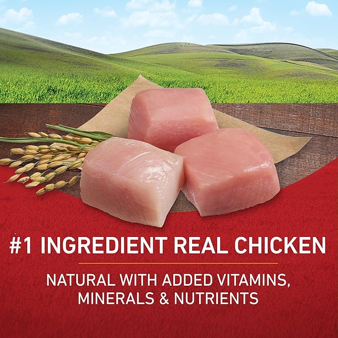 Raw chicken pieces on a wooden surface with a scenic background, emphasizing 'Real Chicken' as the #1 ingredient.