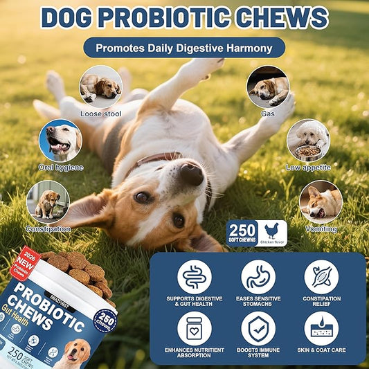 Probiotics for Dogs, Dog Probiotics Chews for Digestive Health & Gut Health, Improve Immune System,Constipation & Diarrhea Relief(Chicken Flavor, 250 Chews)