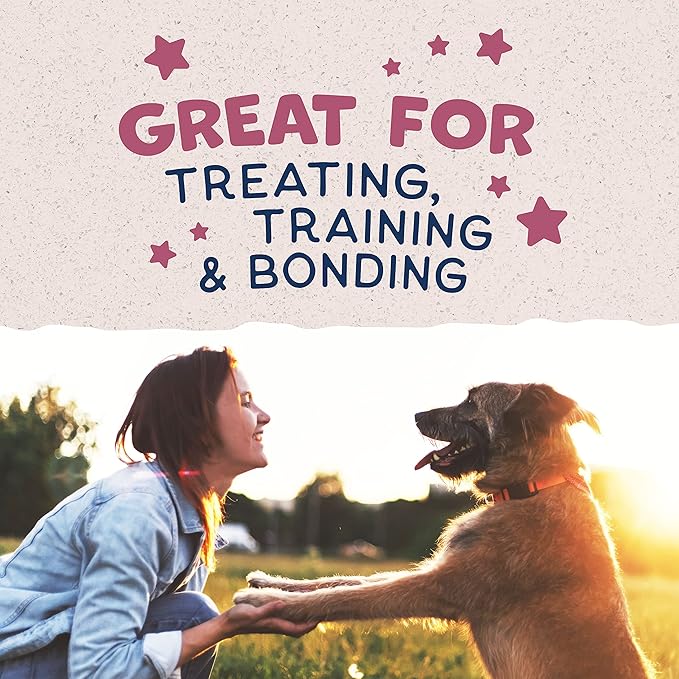 Natural Balance Limited Ingredient Rewards Jumpin' Stix, Grain-Free Dog Treats for Adult Dogs of All Breeds, Venison Recipe, 10 Ounce (Pack of 1)