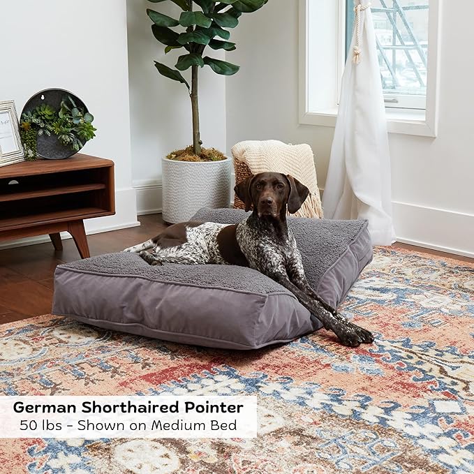 Buster Deluxe Reversible Pillow Style Sherpa Dog Bed, Gray, Medium (42 x 30 in.)
