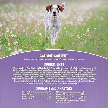 Annamaet Original Option Formula Dry Dog Food, 24% Protein (Salmon & Brown Rice), 12-lb Bag