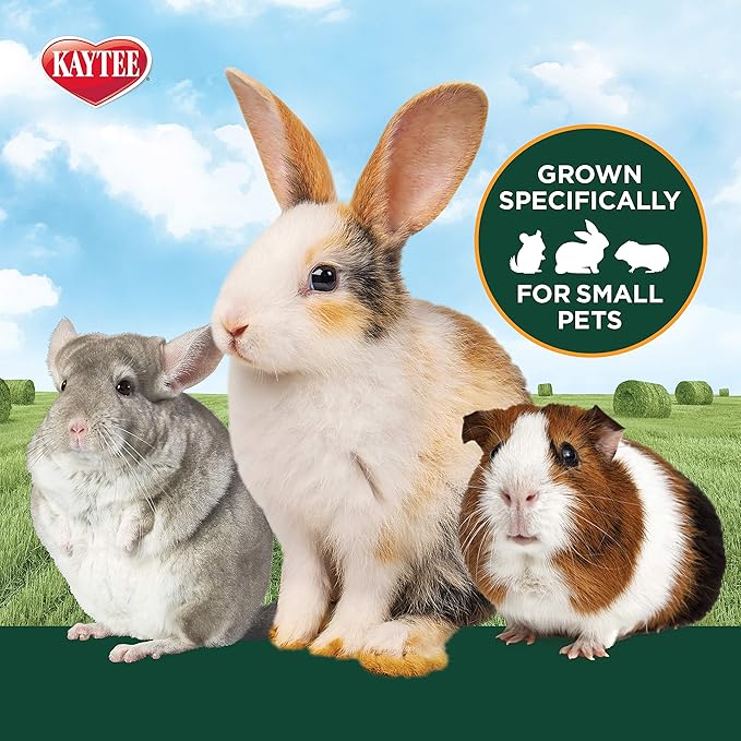 Kaytee 2nd Cut Soft and Lush Timothy Hay for Pet Guinea Pigs, Rabbits & Other Small Animals, 6.5 Pound