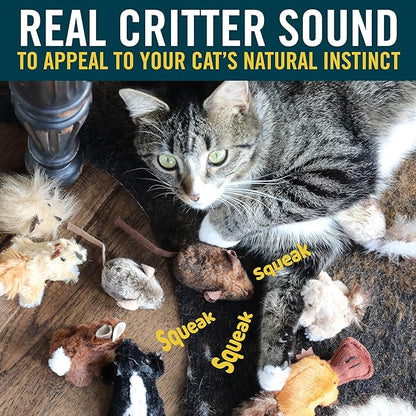 OurPets Play-N-Squeak Mouse Hunter Cat Toys (Interactive Cat Toy & Catnip Toy with Real Mouse Electronic Sound) Perfect Toys for Indoor Cats with Catnip